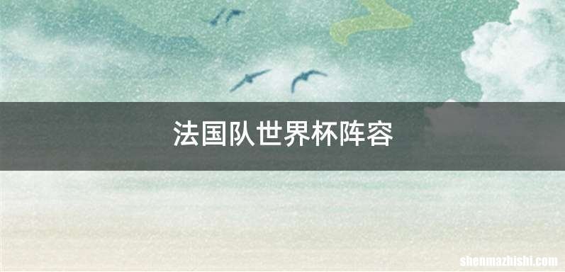 法国队世界杯阵容