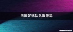 法国足球队队服雄鸡