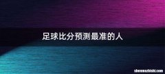 足球比分预测最准的人