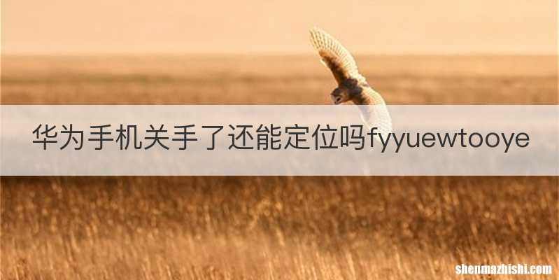 华为手机关手了还能定位吗fyyuewtooye