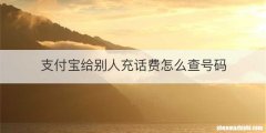 支付宝给别人充话费怎么查号码