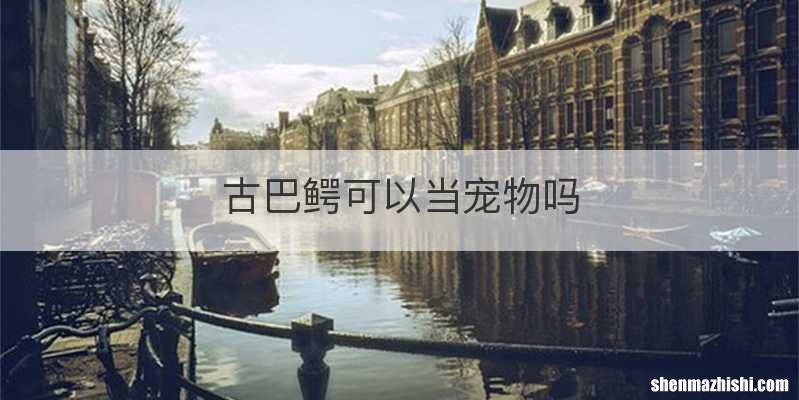 古巴鳄可以当宠物吗