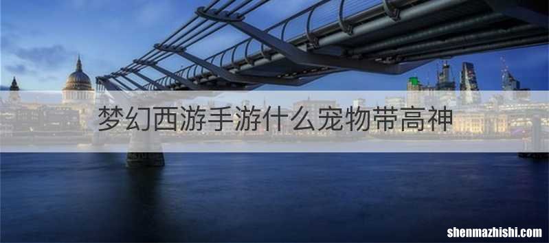 梦幻西游手游什么宠物带高神