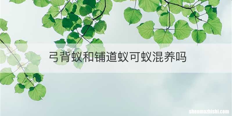弓背蚁和铺道蚁可蚁混养吗
