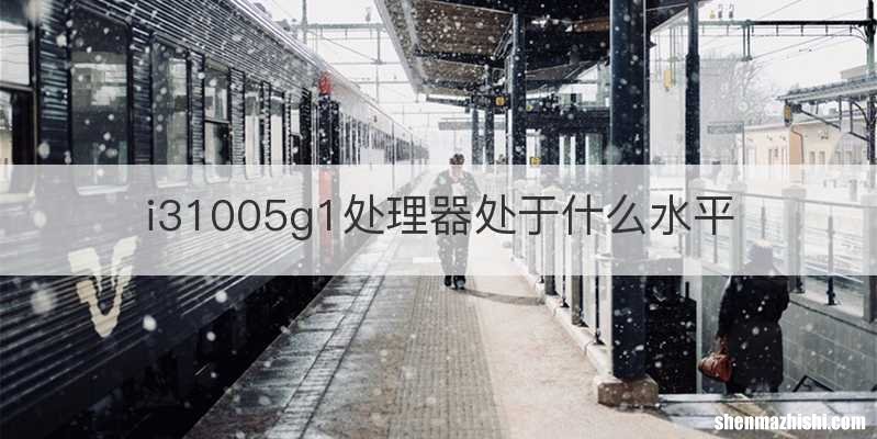 i31005g1处理器处于什么水平