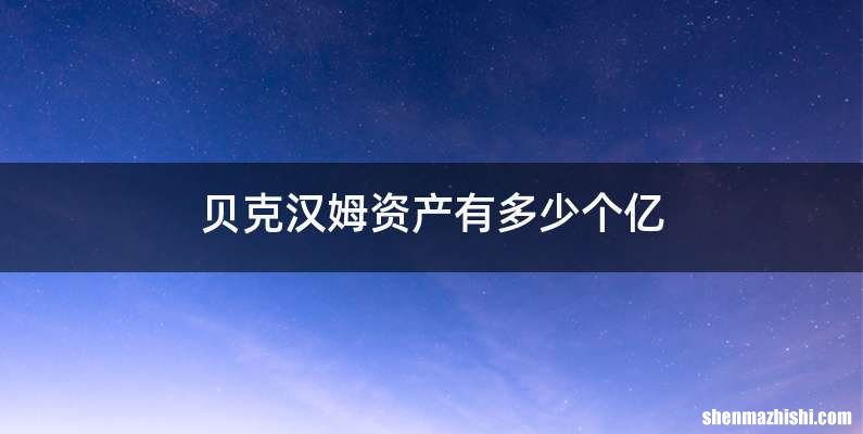 贝克汉姆资产有多少个亿