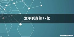意甲联赛第17轮