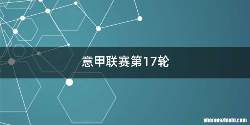 意甲联赛第17轮