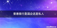 普惠银行是国企还是私人