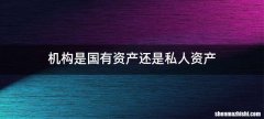机构是国有资产还是私人资产