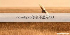 nove8pro怎么不显示5G