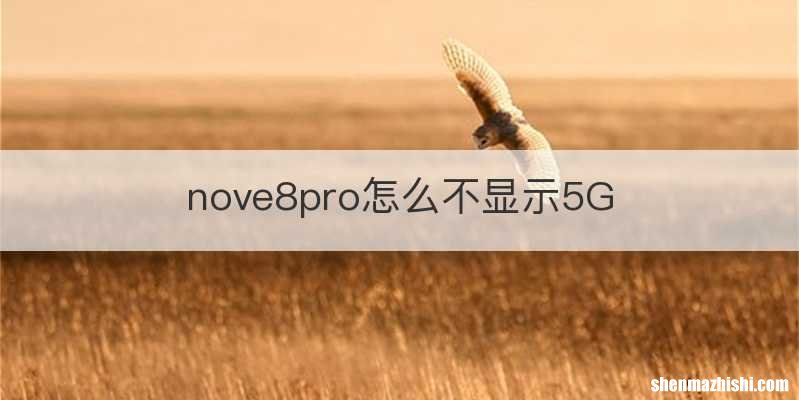nove8pro怎么不显示5G