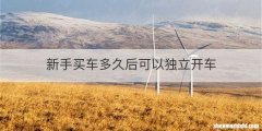 新手买车多久后可以独立开车