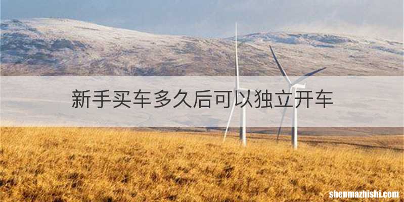 新手买车多久后可以独立开车