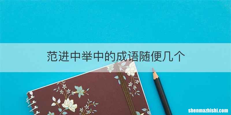范进中举中的成语随便几个