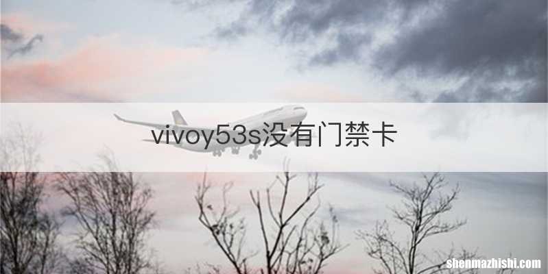 vivoy53s没有门禁卡