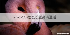 vivoy53s怎么设置高清通话
