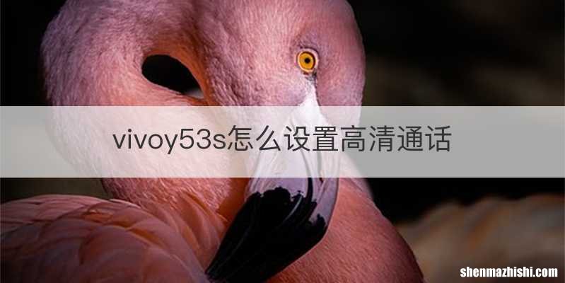 vivoy53s怎么设置高清通话