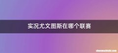 实况尤文图斯在哪个联赛