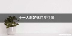 十一人制足球门尺寸图