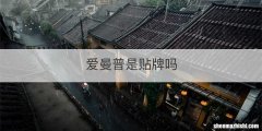 爱曼普是贴牌吗