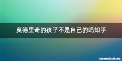 莫德里奇的孩子不是自己的吗知乎