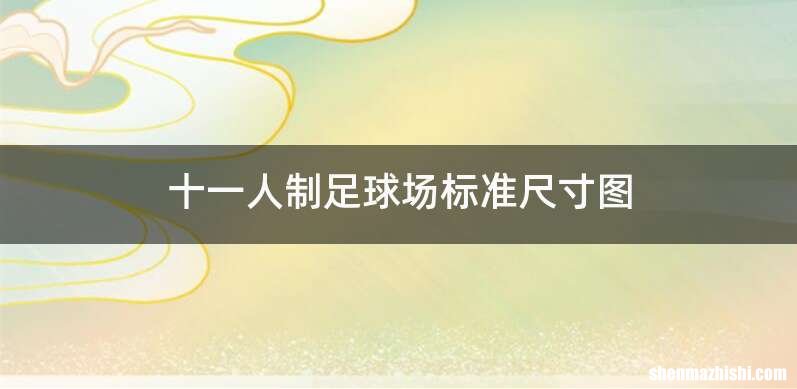 十一人制足球场标准尺寸图