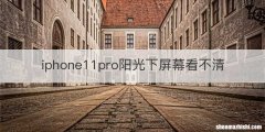 iphone11pro阳光下屏幕看不清