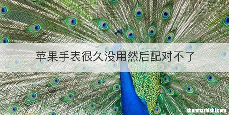 苹果手表很久没用然后配对不了