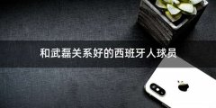 和武磊关系好的西班牙人球员