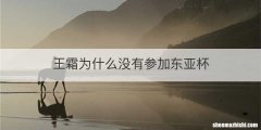 王霜为什么没有参加东亚杯
