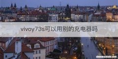 vivoy73s可以用别的充电器吗