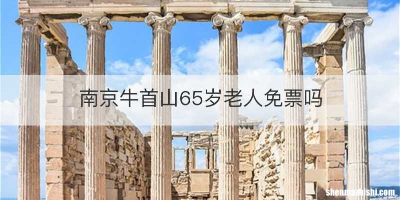 南京牛首山65岁老人免票吗