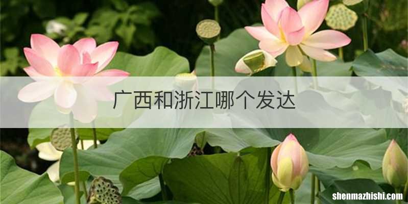 广西和浙江哪个发达