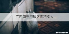 广西南宁市城区面积多大