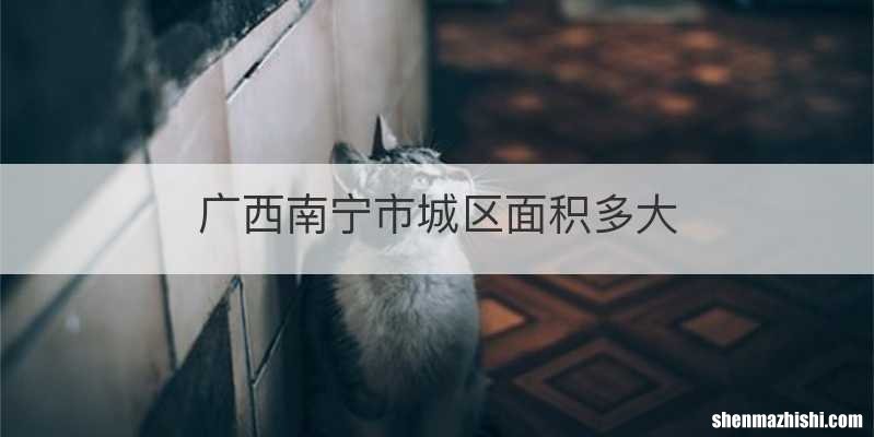 广西南宁市城区面积多大