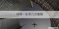 杨绛一生有几次婚姻