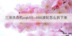 三洋洗衣机xqb55-486波轮怎么拆下来
