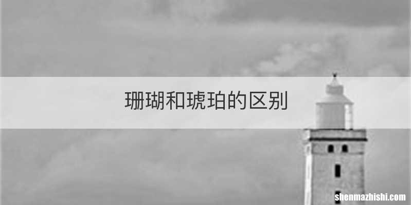 珊瑚和琥珀的区别