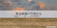 青岛啤酒07代表什么