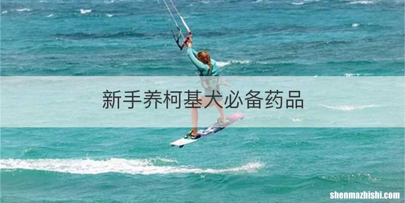 新手养柯基犬必备药品