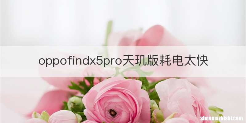 oppofindx5pro天玑版耗电太快