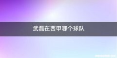 武磊在西甲哪个球队
