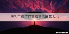 华为平板钉钉直播显示屏幕太小