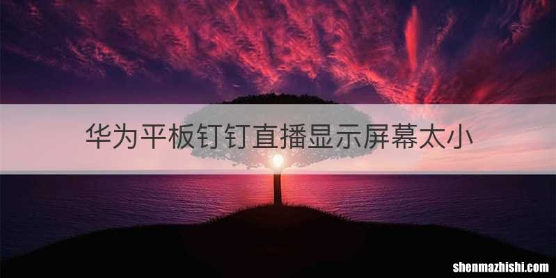 华为平板钉钉直播显示屏幕太小