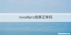 nova8pro烧屏正常吗
