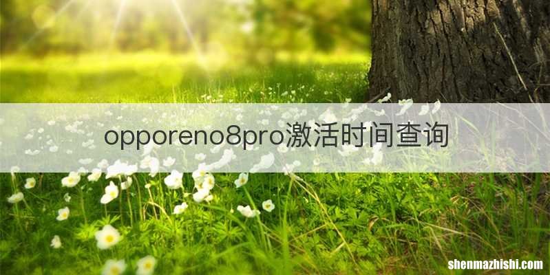 opporeno8pro激活时间查询