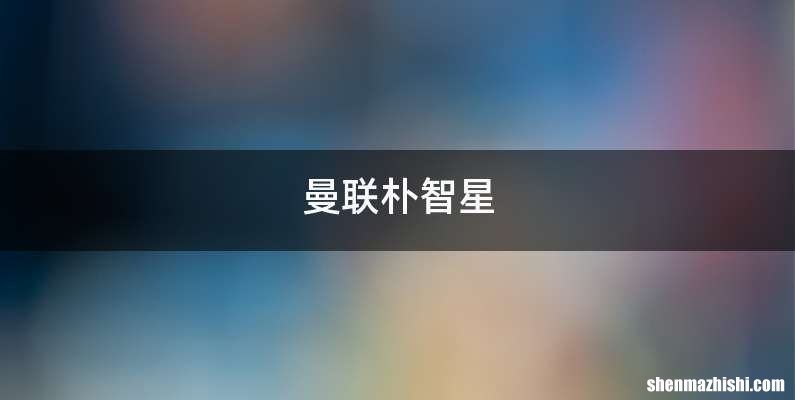 曼联朴智星