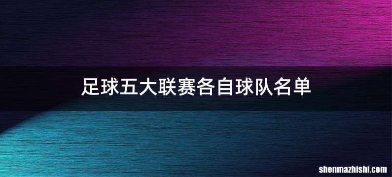 足球五大联赛各自球队名单