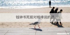 钱钟书死前对杨绛说的话
